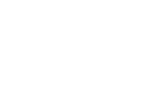 Logo SPN
