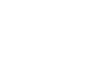 Logo SilverDAT