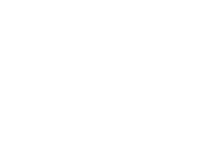 Logo riparo